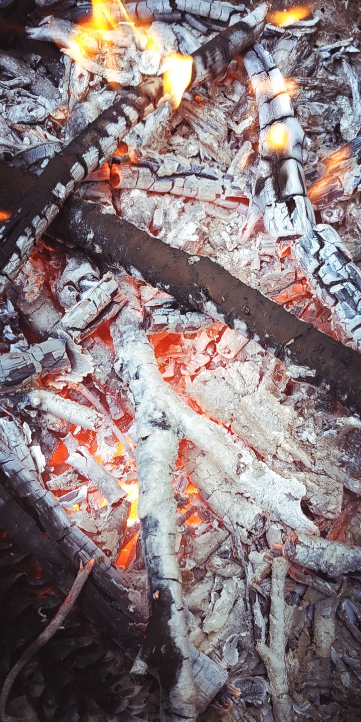 Coal - Charbon