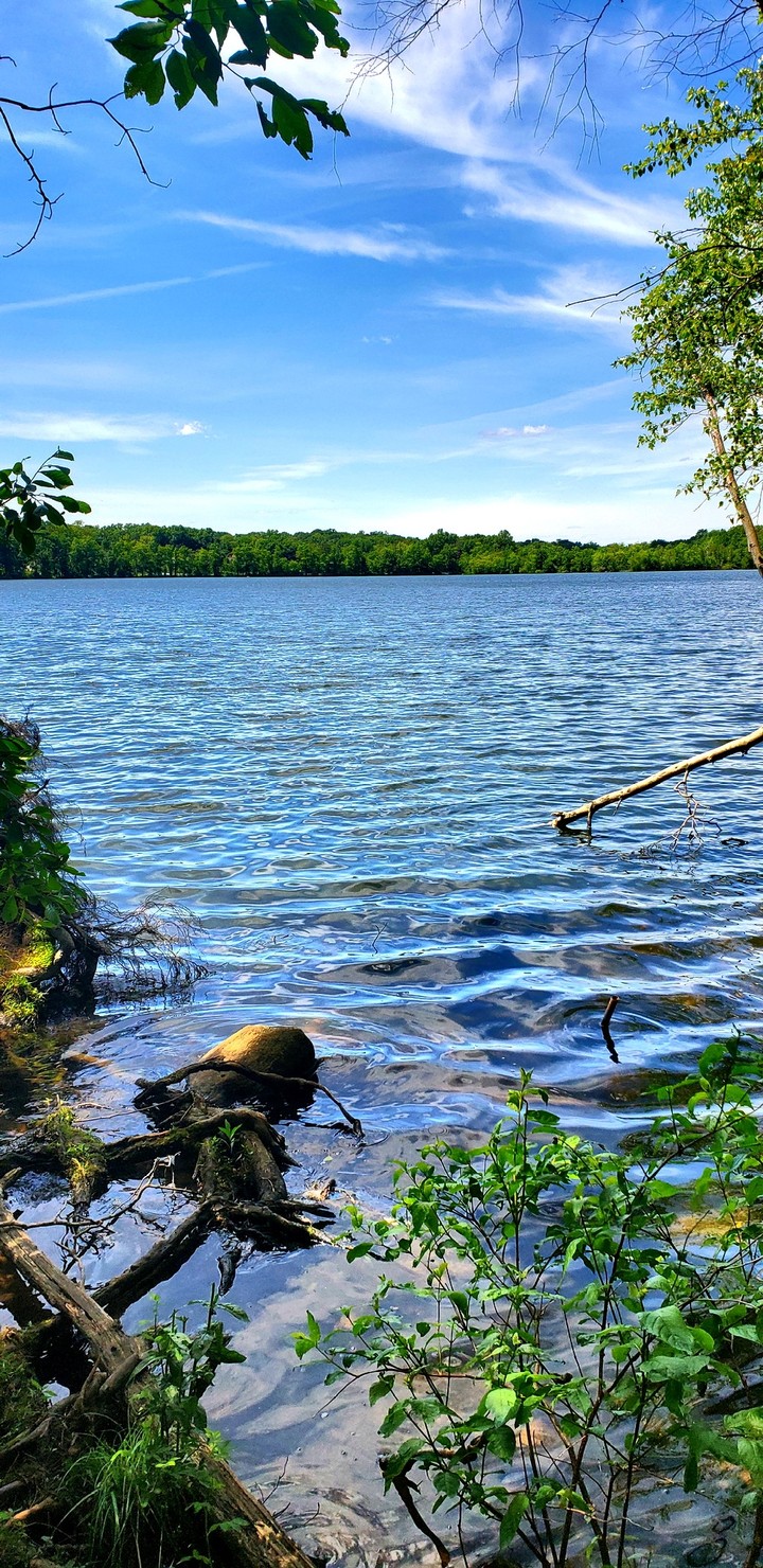 Nature Preserve