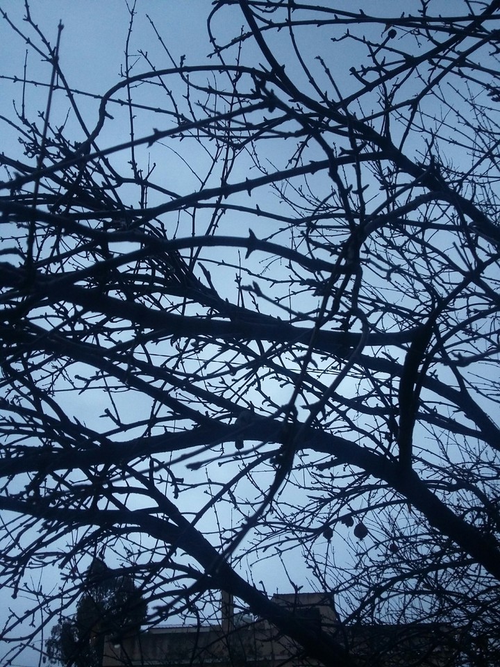 dark