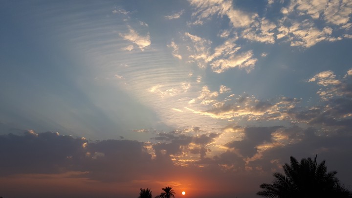 natural view