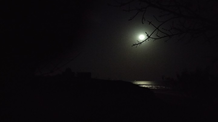 Moon