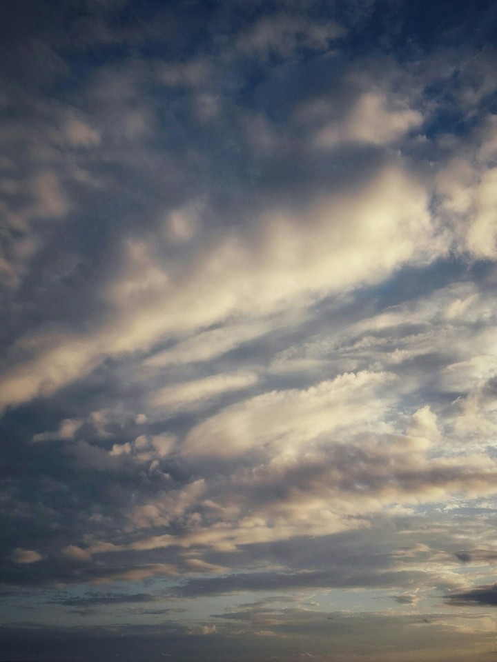 Cotton sky
