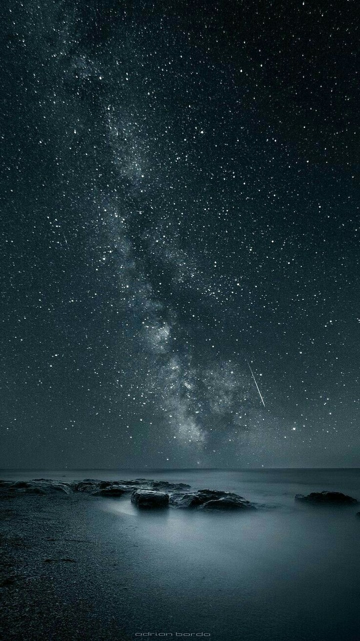 Night