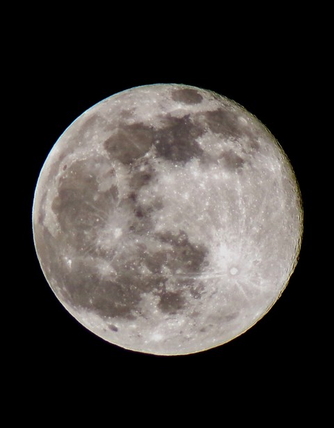 обои circle, Midnight