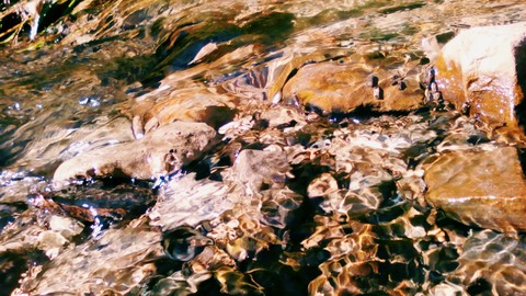 обои Rock, river