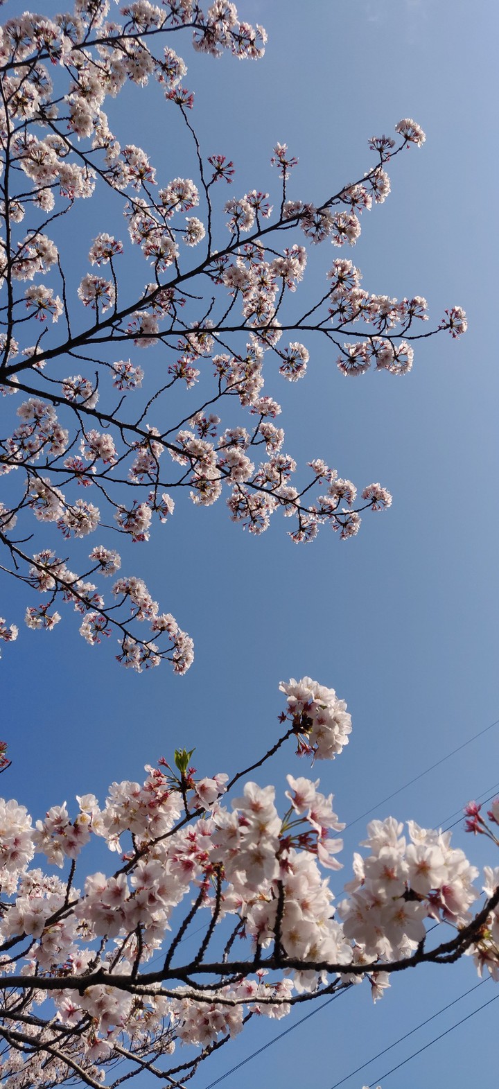 the sky and the beauty
