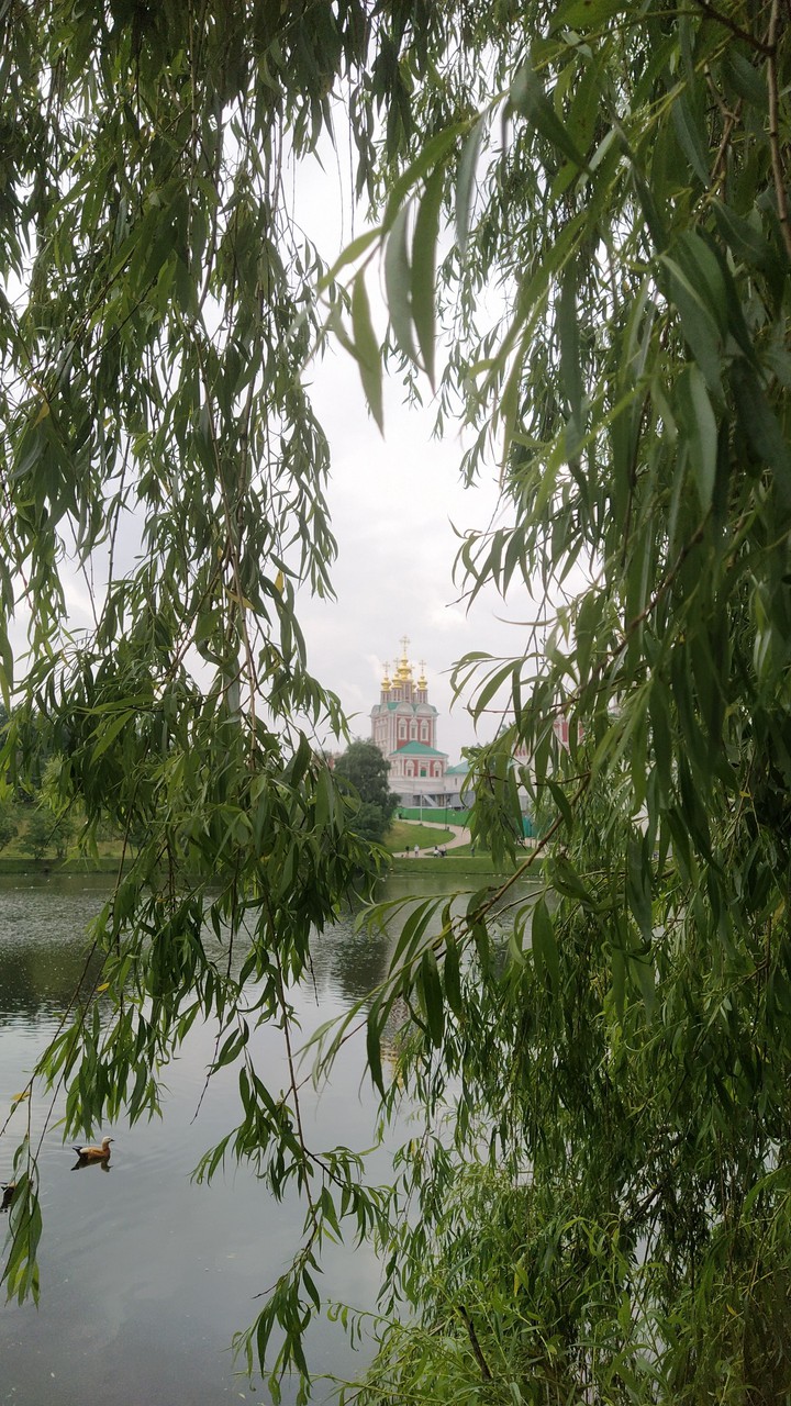 Новодевичий монастырь