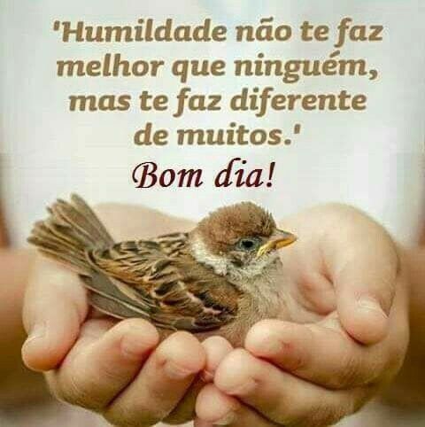 À todos amigos do coração bjs.