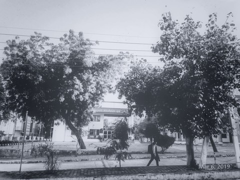 Black and White 002