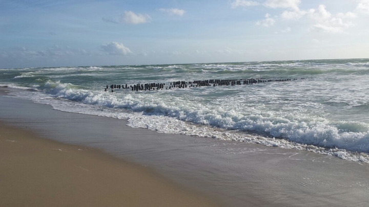 sea
