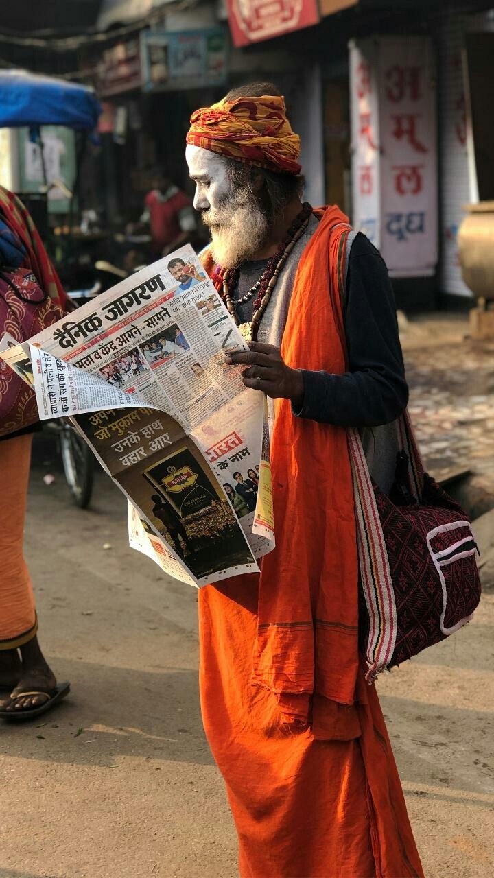 yogi