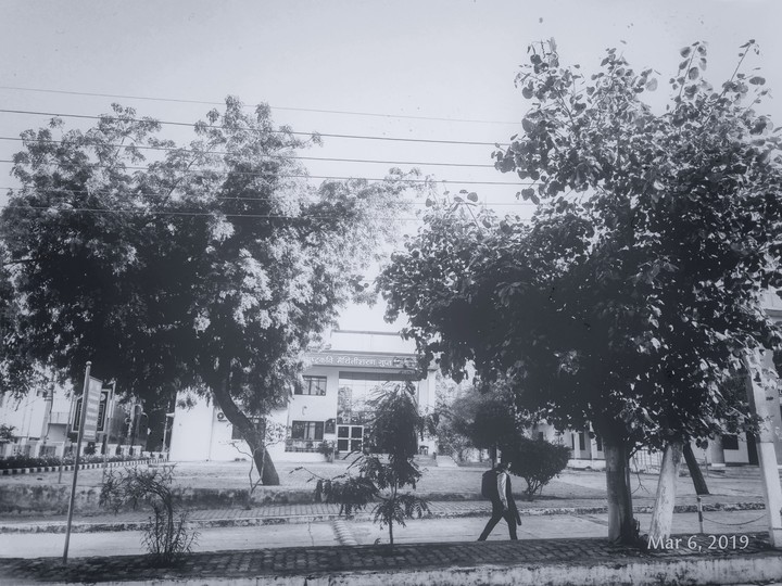 Black and White 002