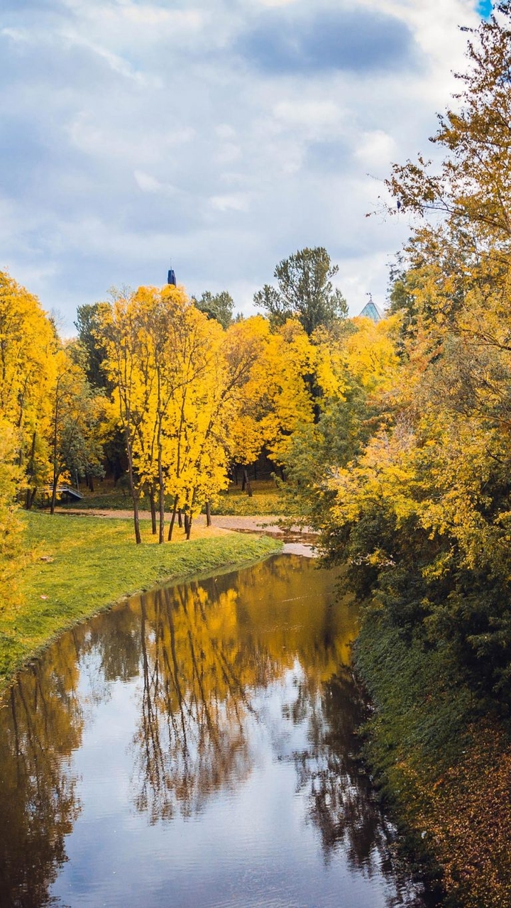trees