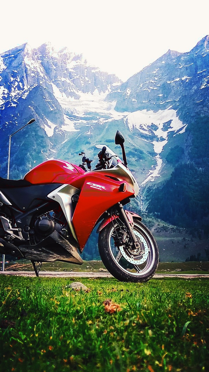 bike love