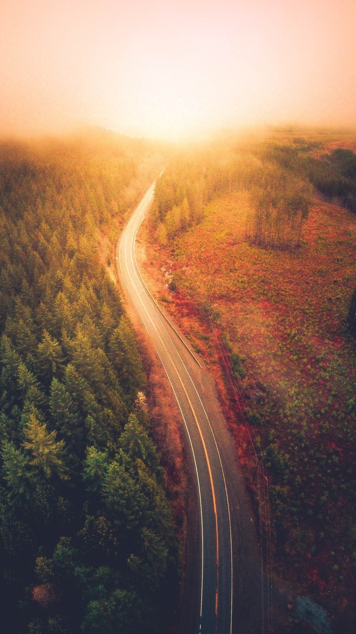 nature