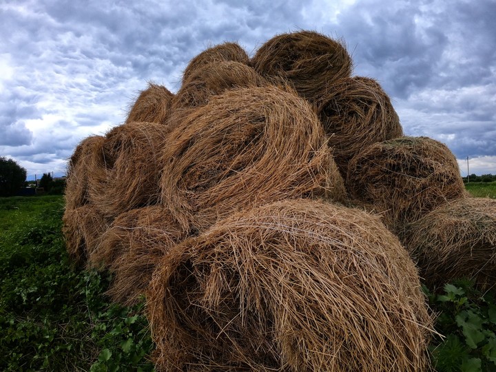 field