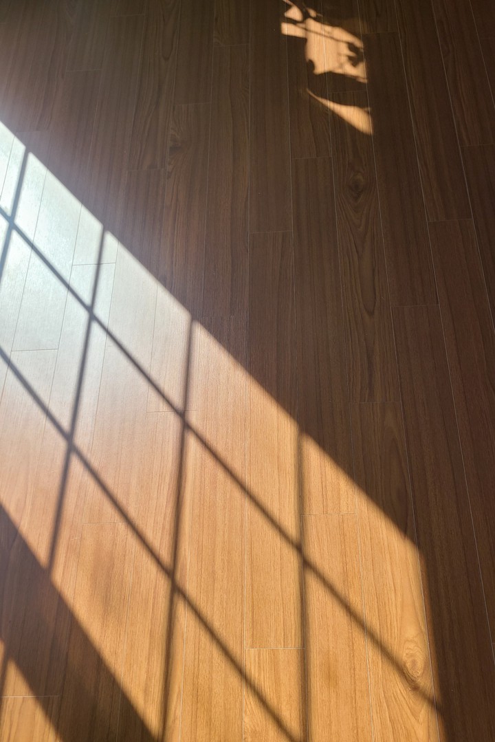 sunlight