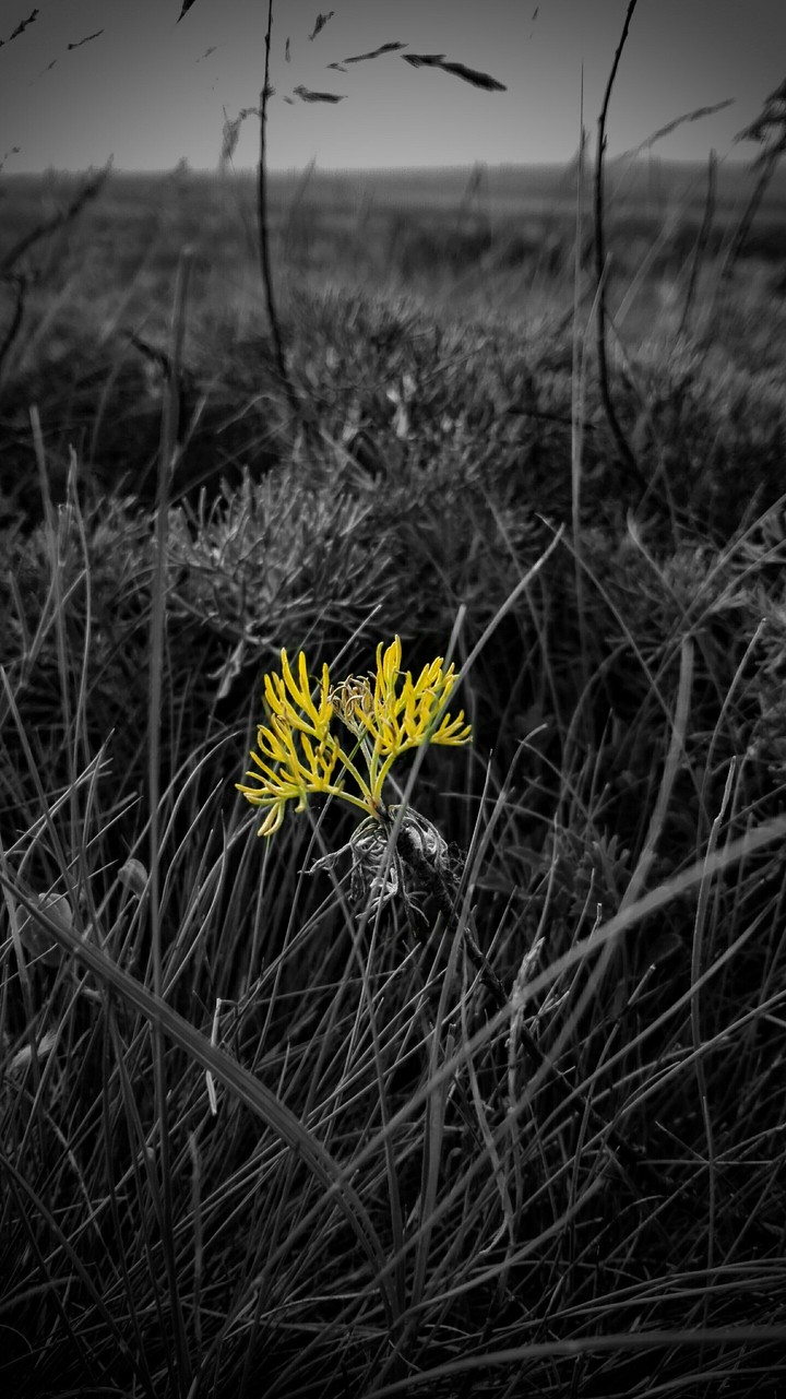 Color in the dark