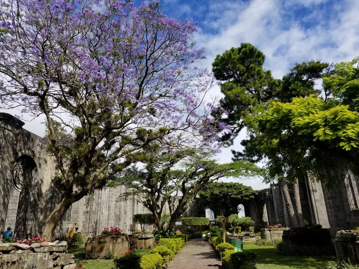 Beautiful ruins of Costa Rica.