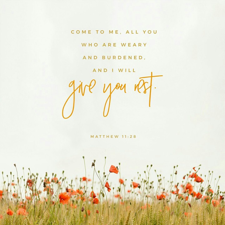 Matthew 11:28