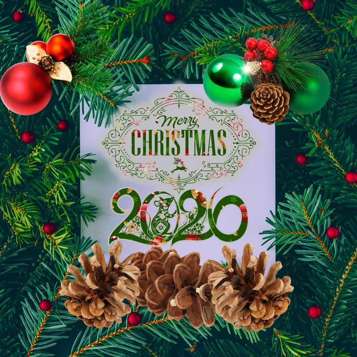 Navidad193