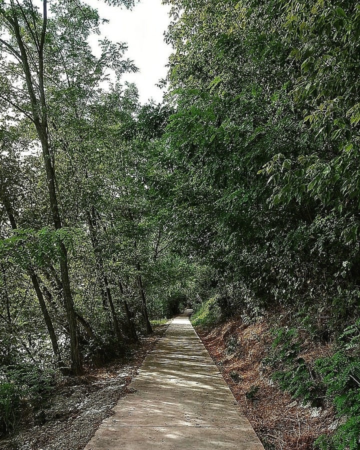 #nature