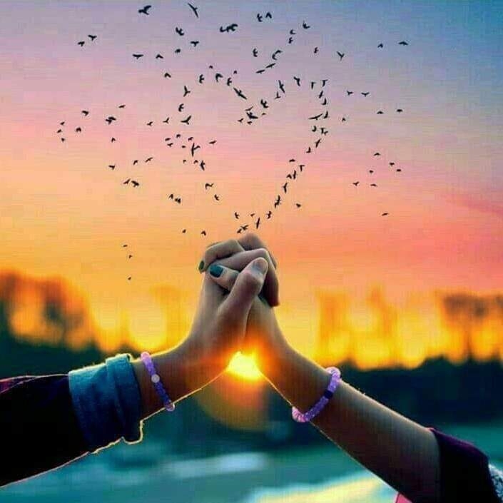 Evening