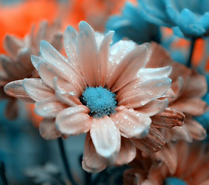flower