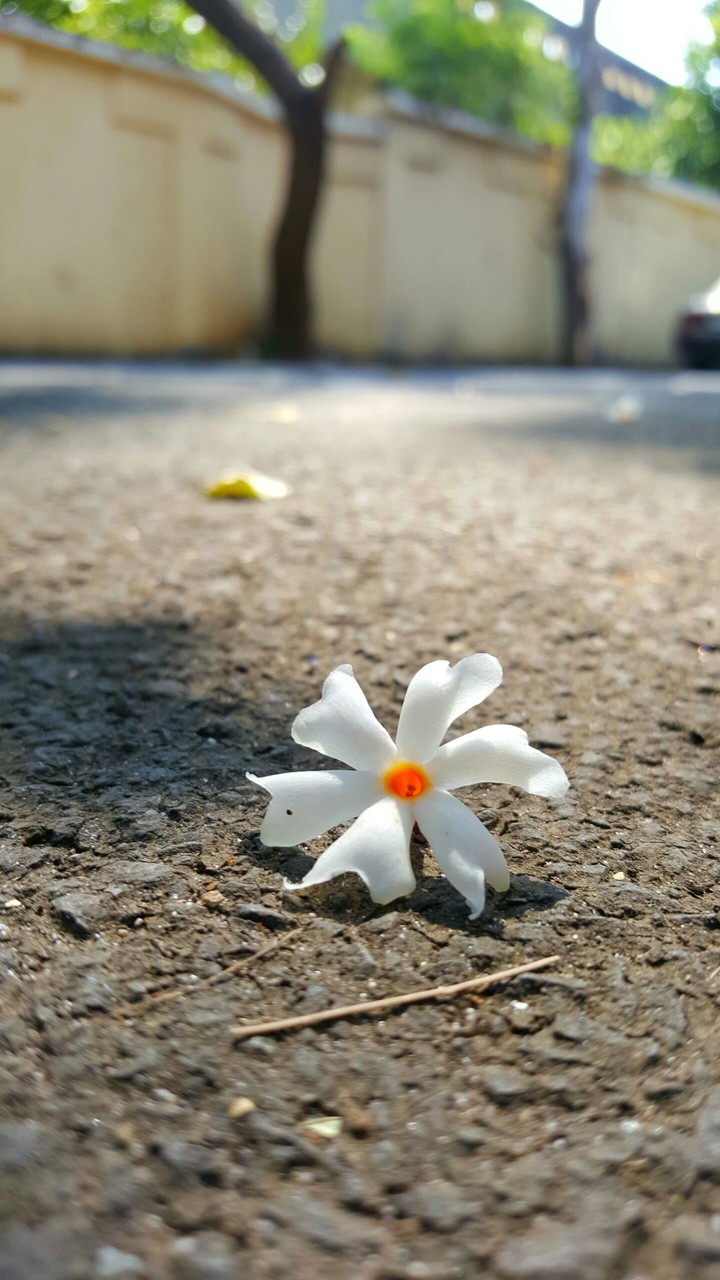 Good Morning..