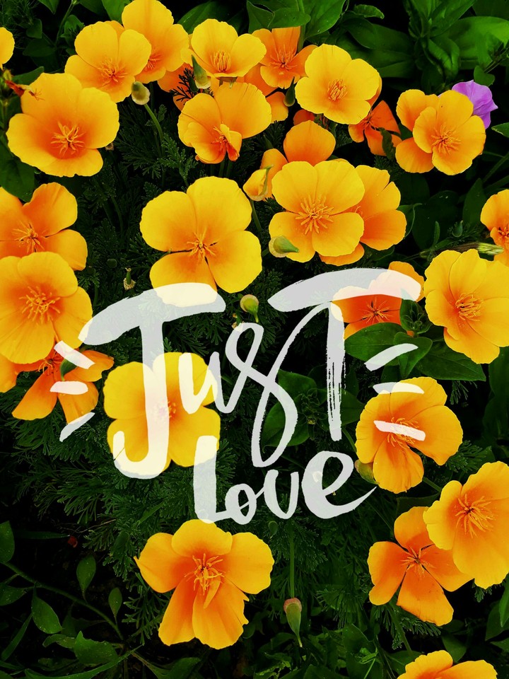 just love