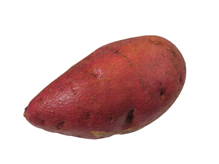 음식이미지