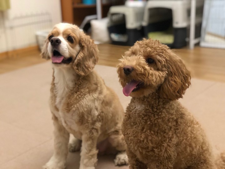 Moka&Latte