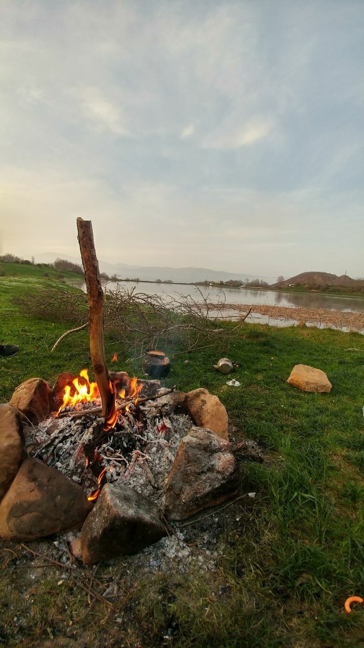 bonefire