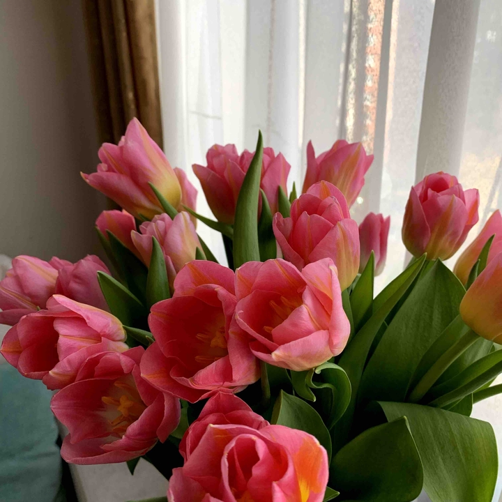 Flowers ?