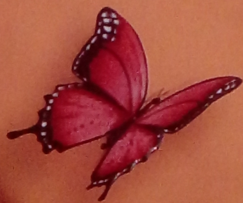 Flying butterfly