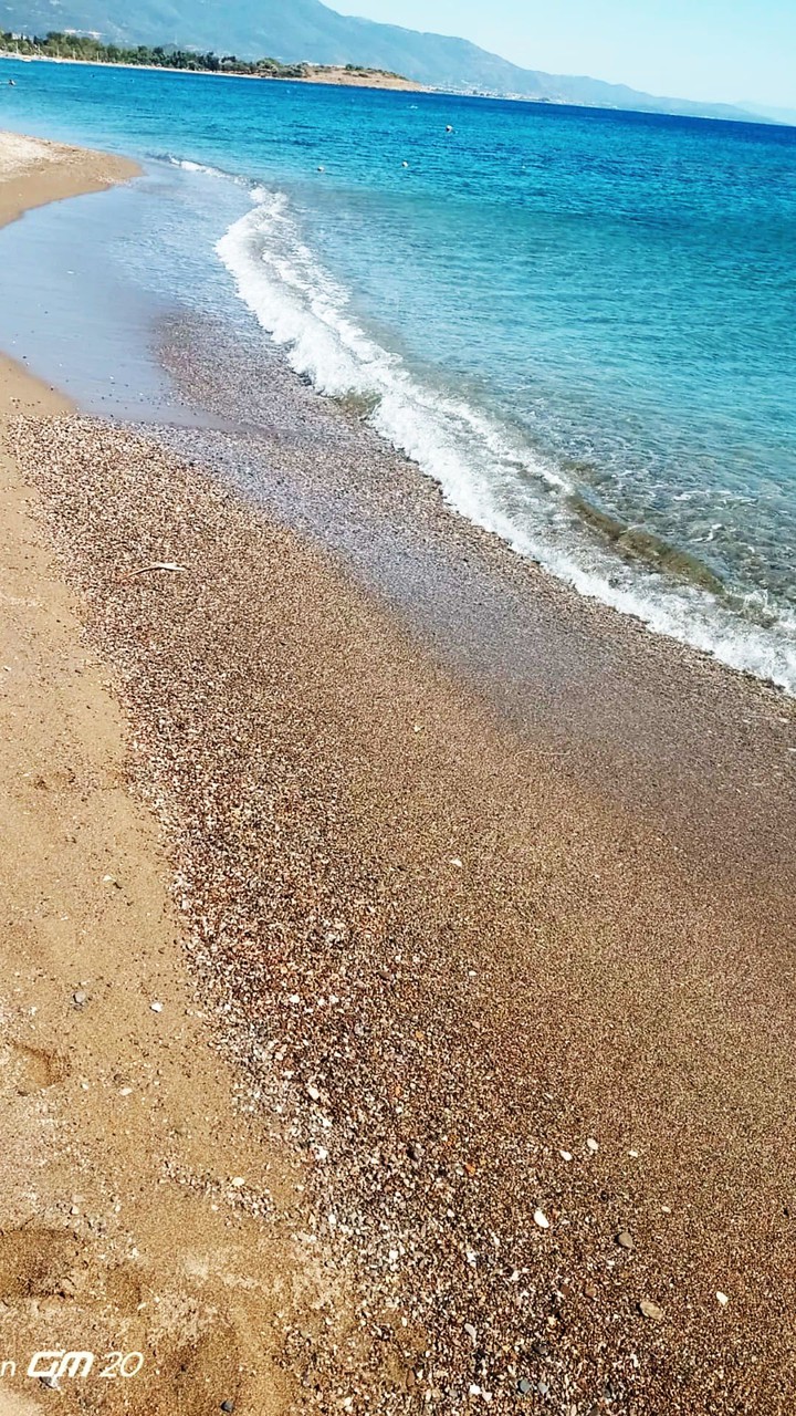 sea