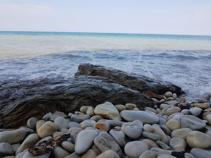 Sea
