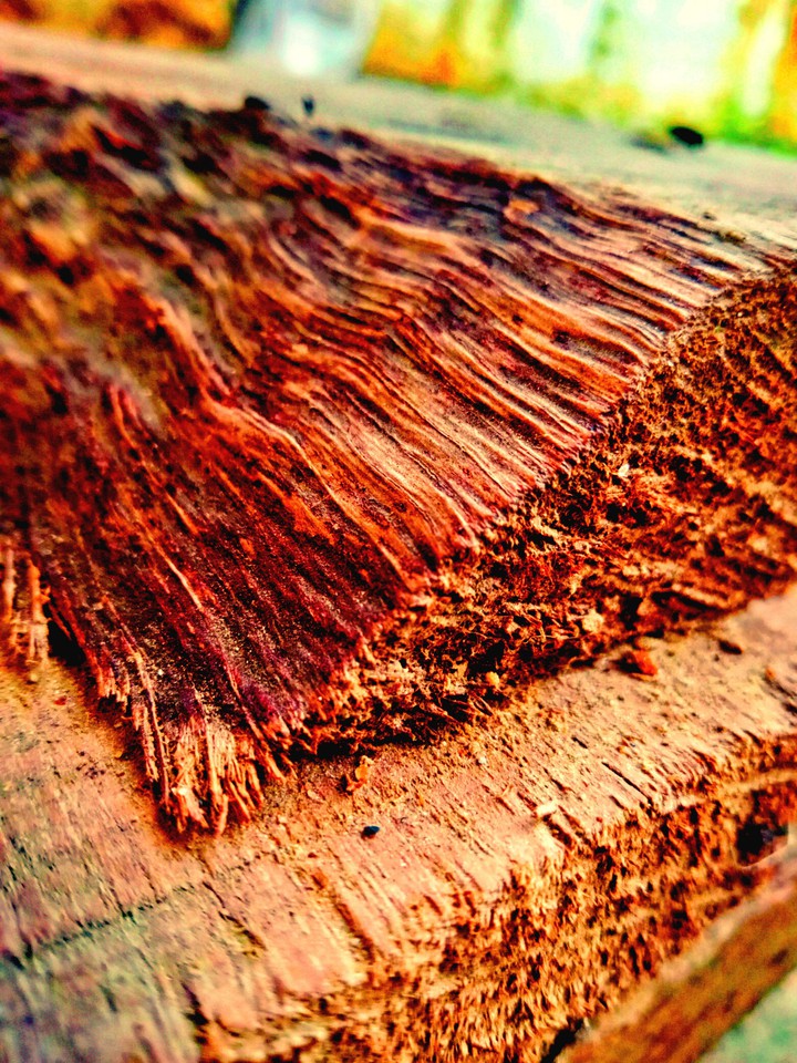 wood