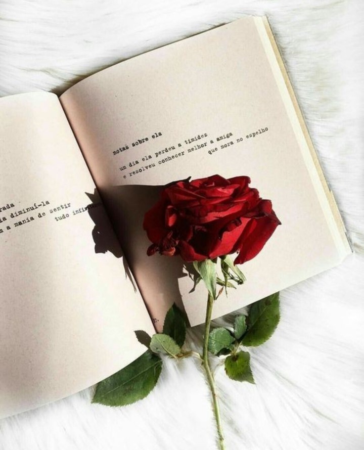 rose❤❤