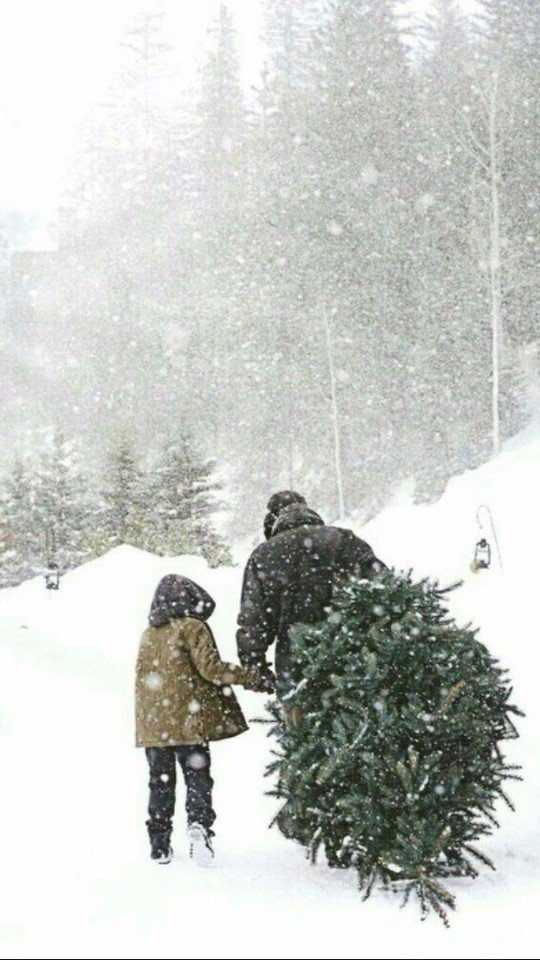 New Year❄