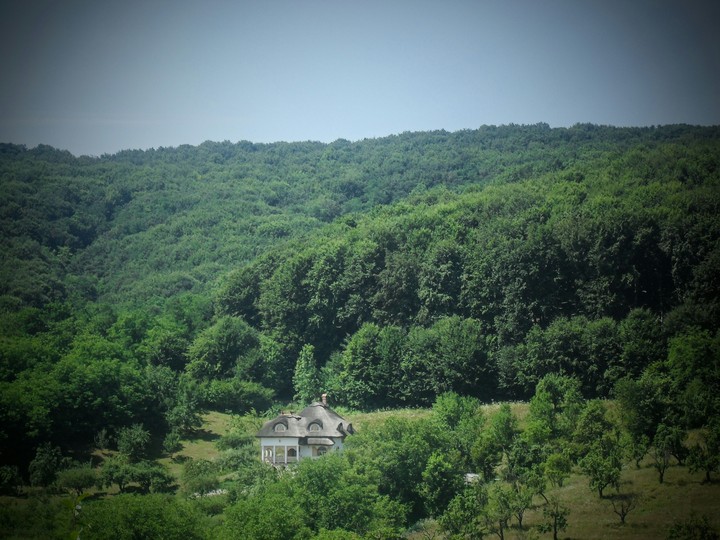 Nature!❤