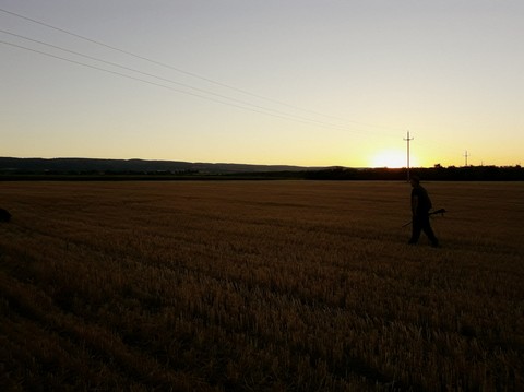 Hunting, morning