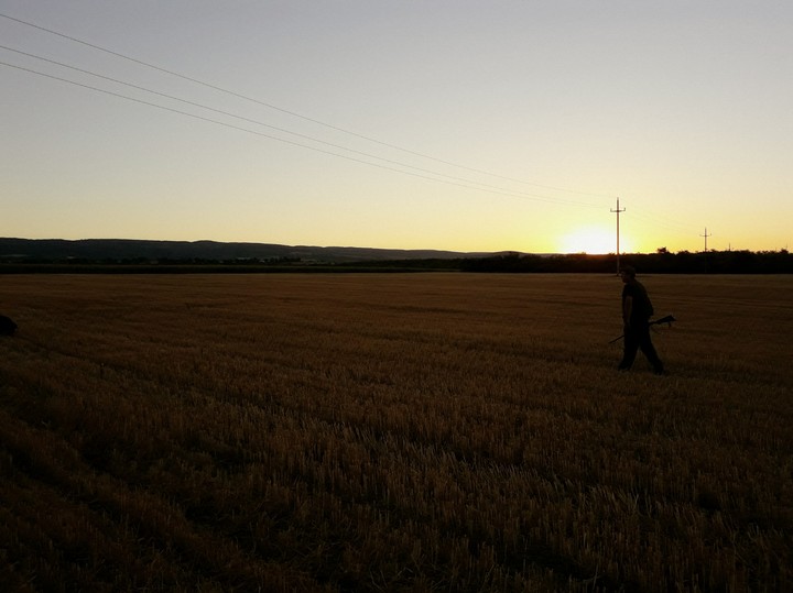 Hunting, morning