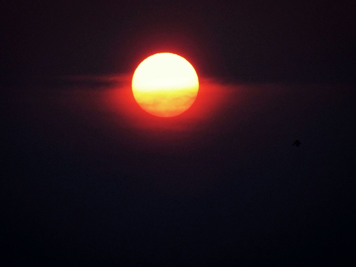 The SUN . Series 5.2