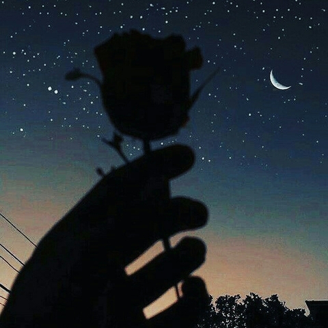 night loveee