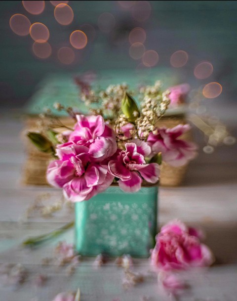 Clove & Bokeh
