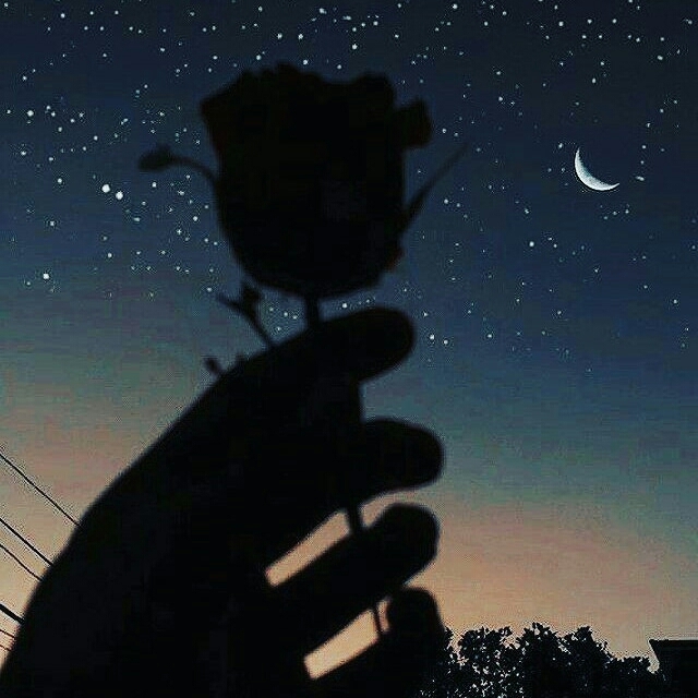night loveee
