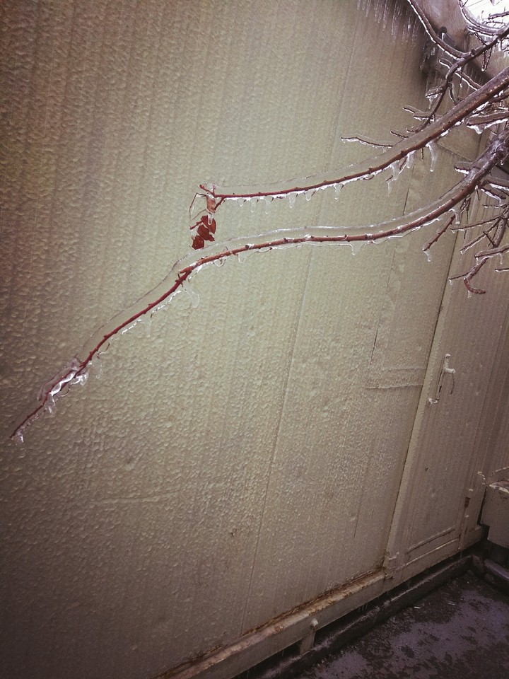 #ColdWinter❄☃