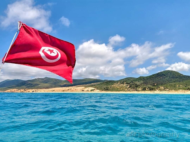 Tunis / تونس