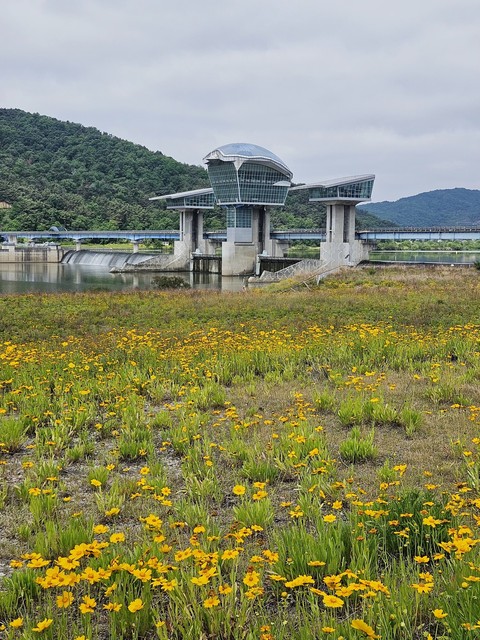 Bridge, Reservoir háttérképek